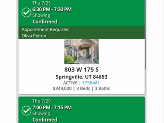 Touring Homes With My Buyers in Springville UT