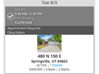 Out Showing Homes in Springville UT