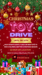 Christmas Toy Drive Instagram Story